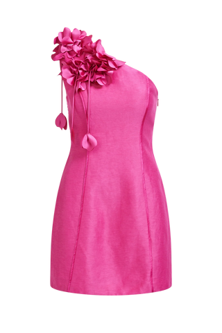 Aje Camille Women's Pink Linen Floral Motifs Fitted Asymmetrical One-Shoulder Mini Fit & Flare Dress